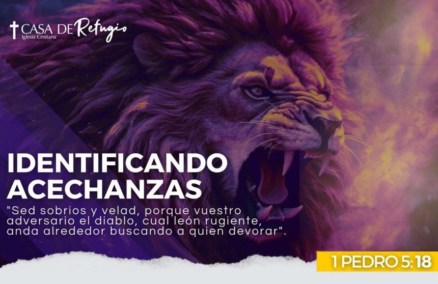 IDENTIFICANDO ACECHANZAS 04-05-25