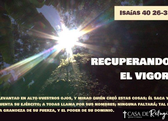 RECUPERANDO EL VIGOR 17-08-25